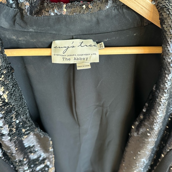 Beautiful Evys Tree shall neck blazer black and silver sequins. Worn only 1x - Picture 2 of 3